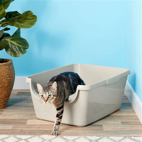 Extra Large Cat Litter Box with High Sides, Cat Litter Box, Large 